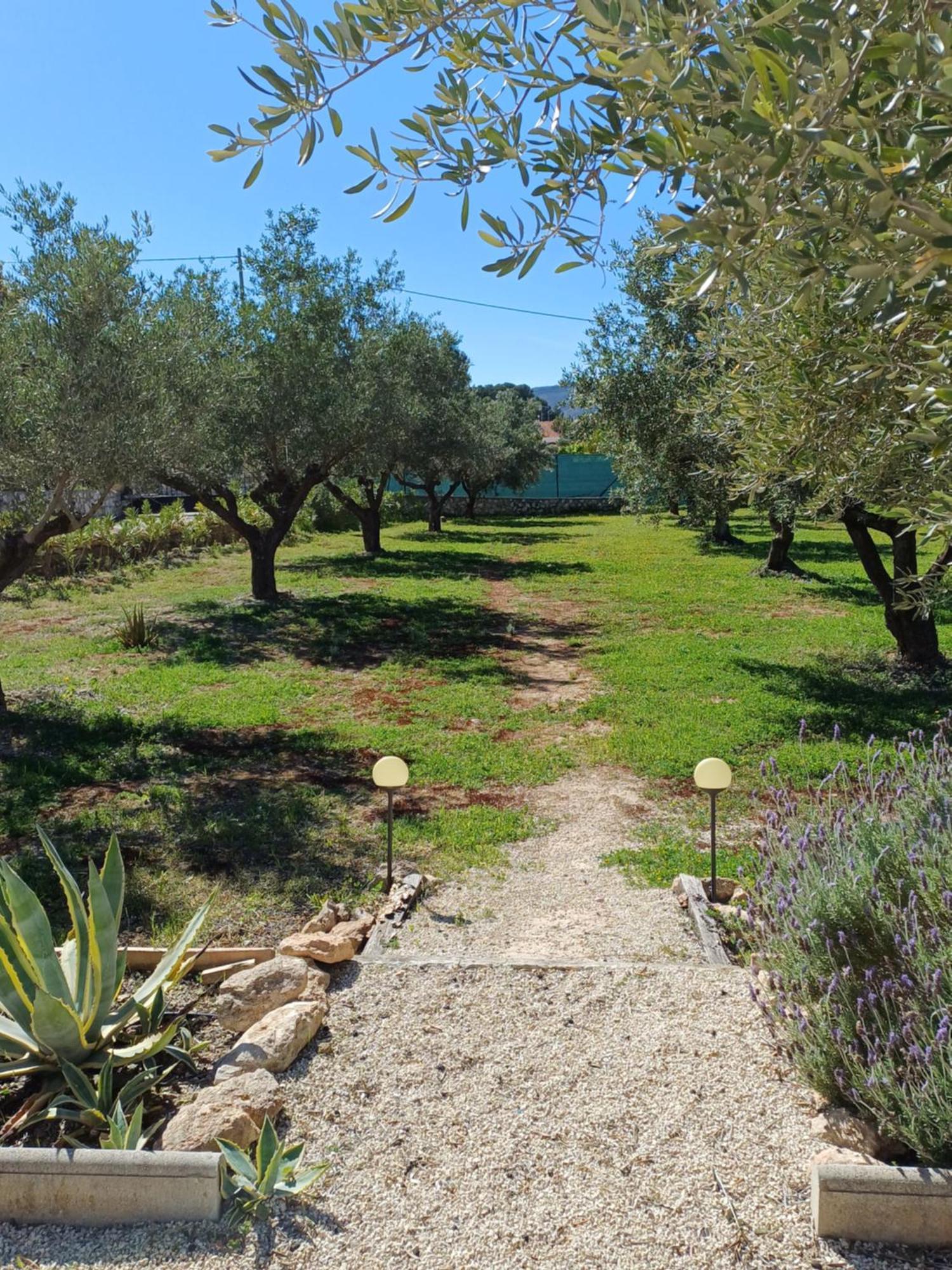 B&B Casa Vitalidad Ontinyent Ngoại thất bức ảnh
